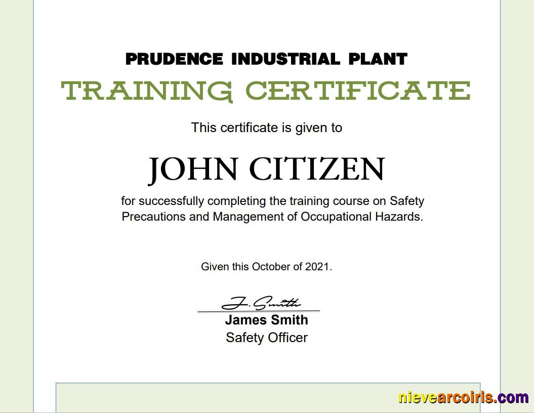 USA Training certificate, version 2